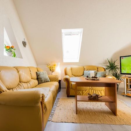 Waldblickwohnung Mit Schoener Terrasse Und Kamin Зебниц Экстерьер фото