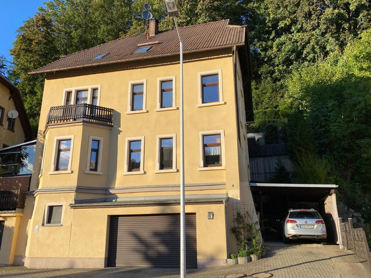 Waldblickwohnung Mit Schoener Terrasse Und Kamin Зебниц Экстерьер фото