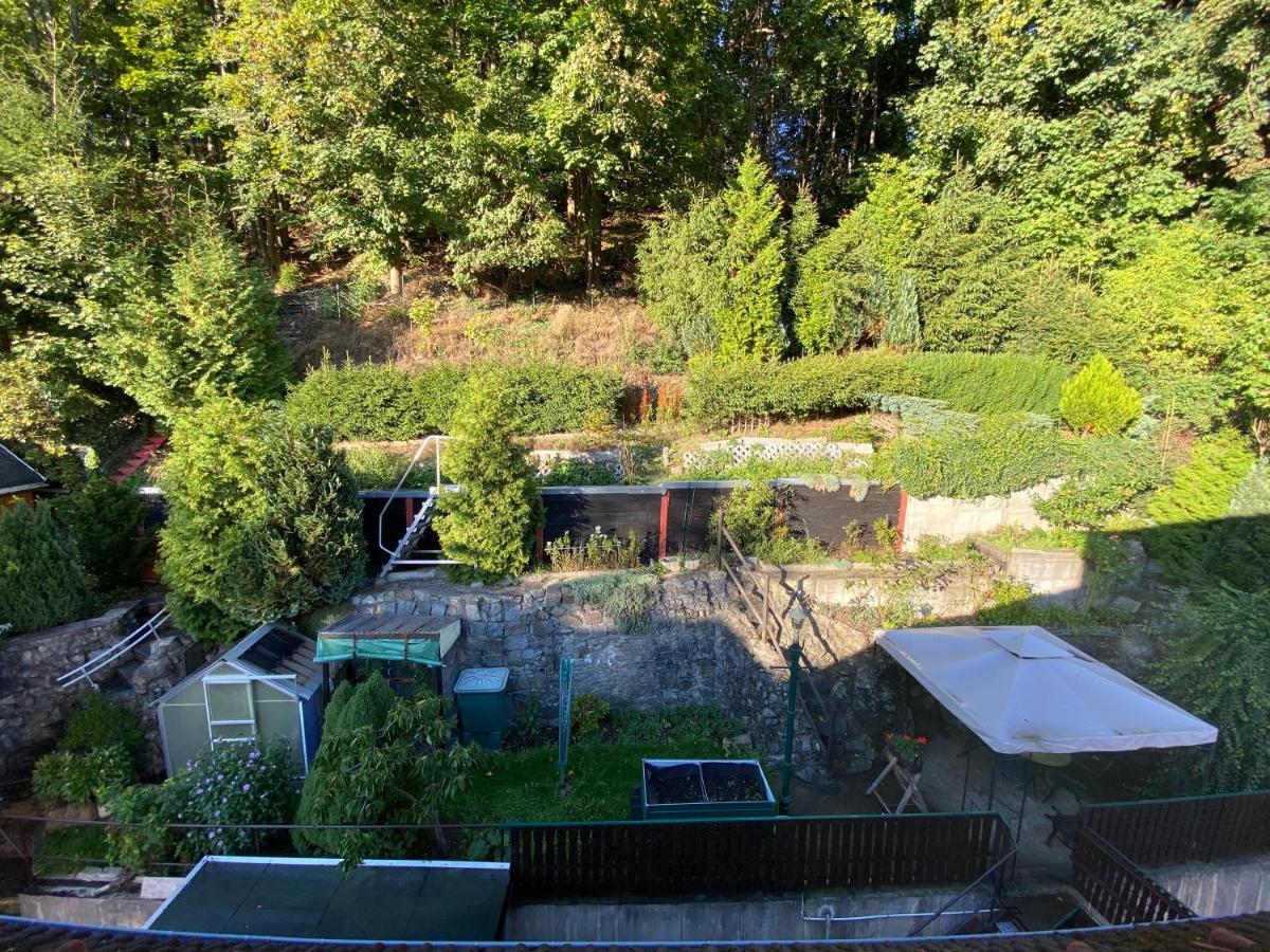 Waldblickwohnung Mit Schoener Terrasse Und Kamin Зебниц Экстерьер фото
