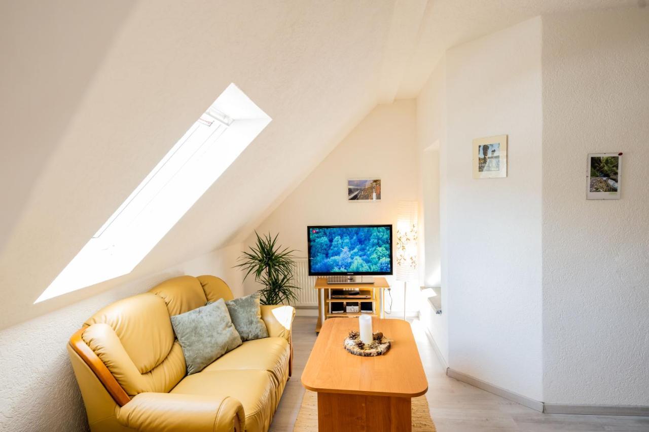 Waldblickwohnung Mit Schoener Terrasse Und Kamin Зебниц Экстерьер фото