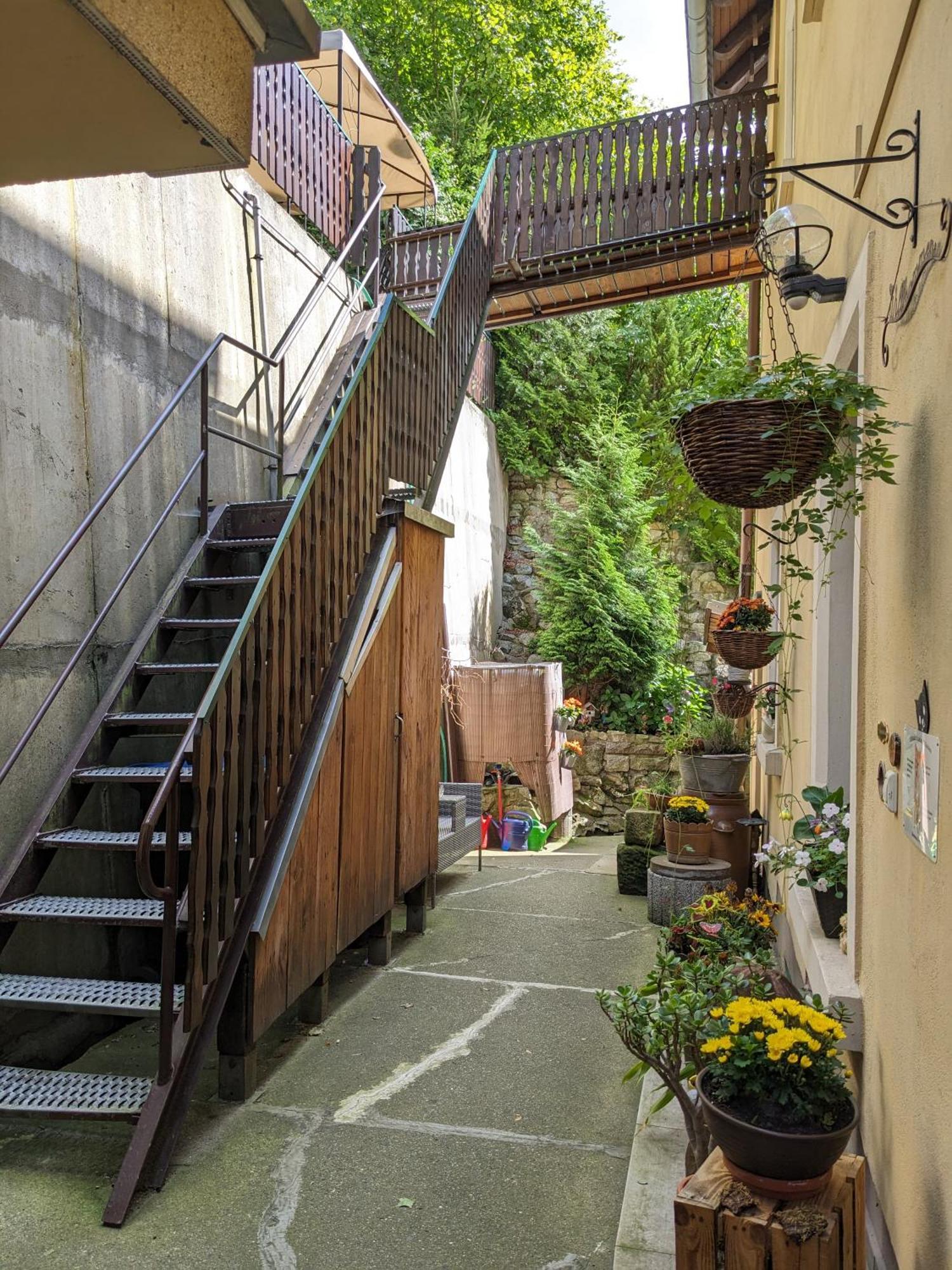 Waldblickwohnung Mit Schoener Terrasse Und Kamin Зебниц Экстерьер фото