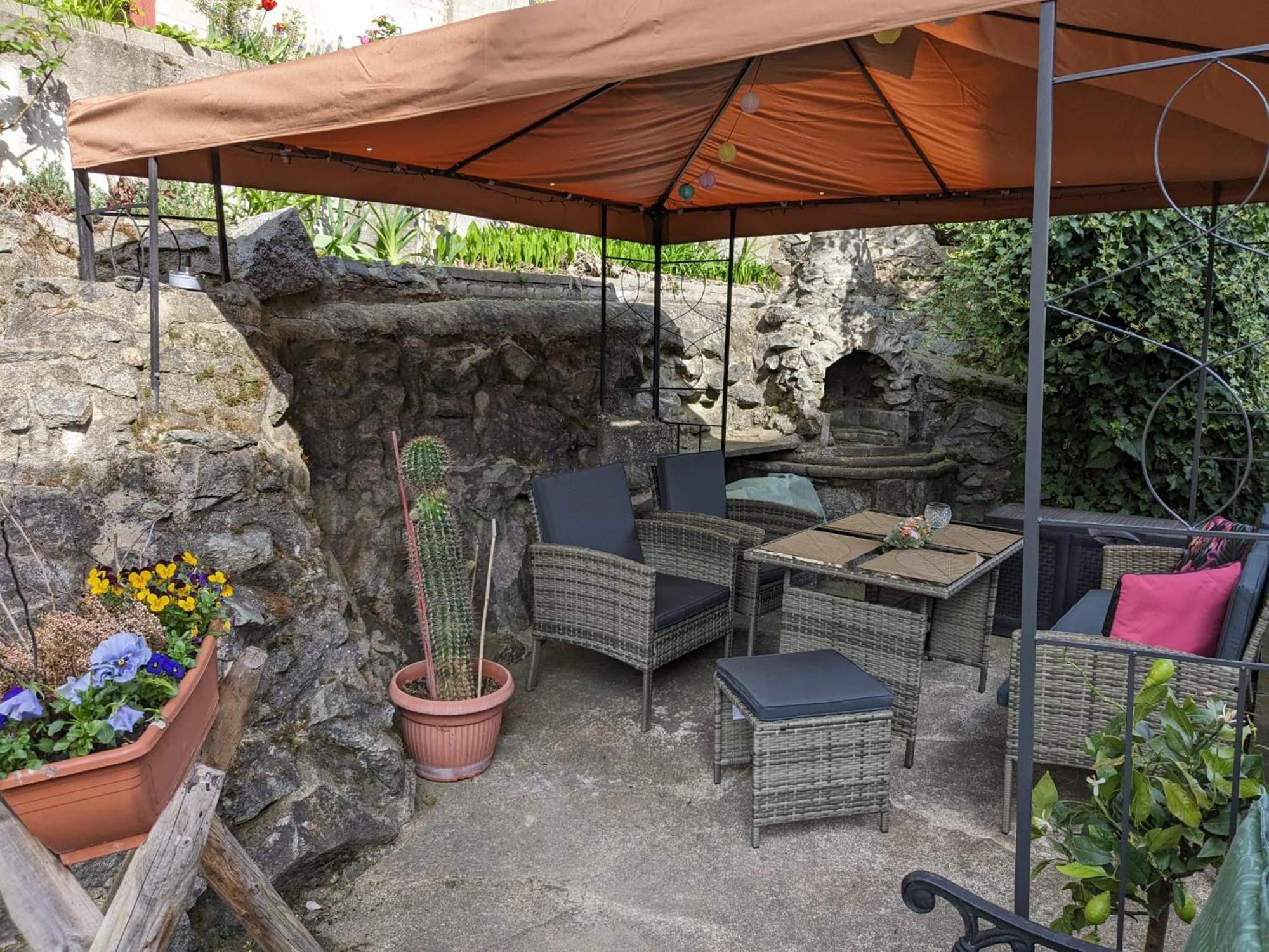 Waldblickwohnung Mit Schoener Terrasse Und Kamin Зебниц Экстерьер фото